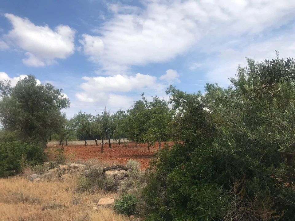 Terreno para Venda em Boliqueime Foto 15