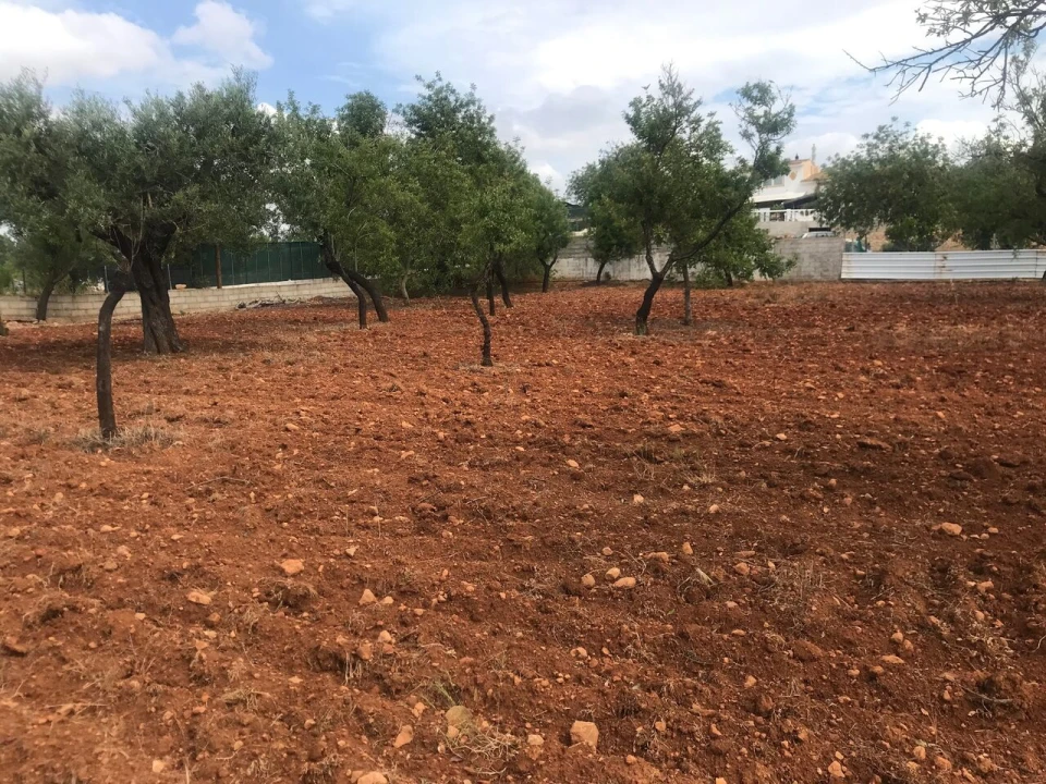 Terreno para Venda em Boliqueime Foto 17
