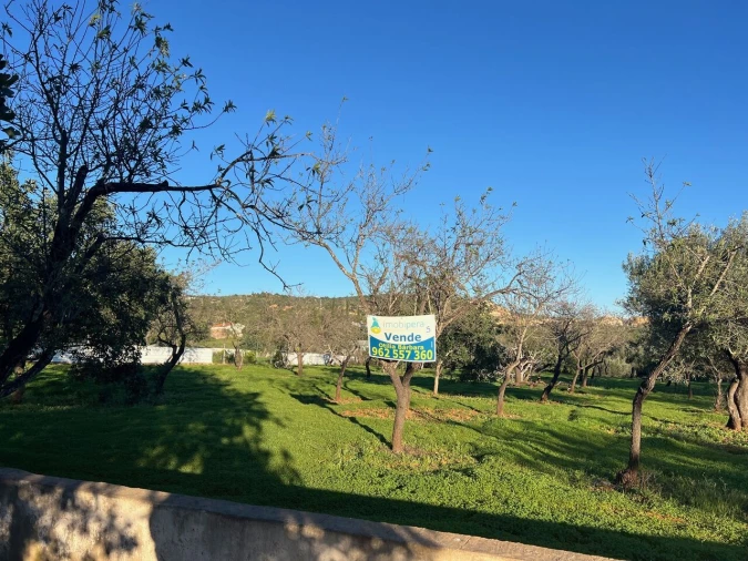 Terreno para Venda em Boliqueime Foto 8