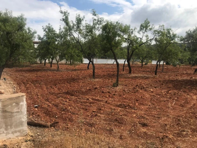 Terreno para Venda em Boliqueime Foto 9
