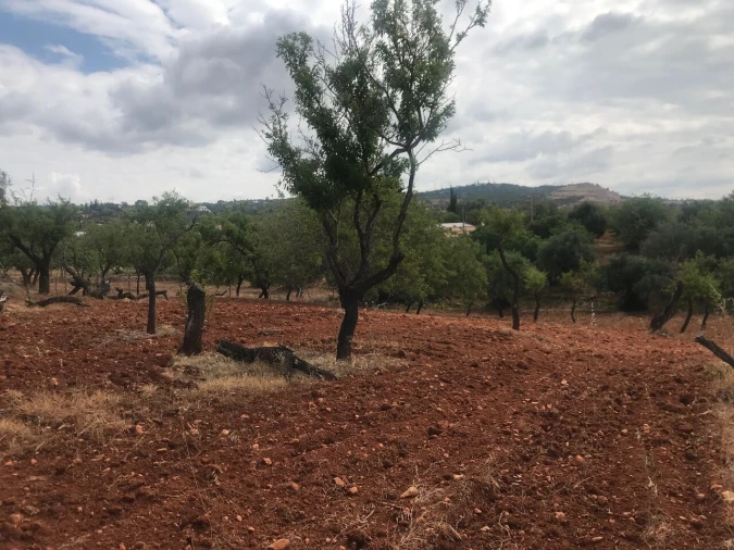 Terreno para Venda em Boliqueime Foto 10