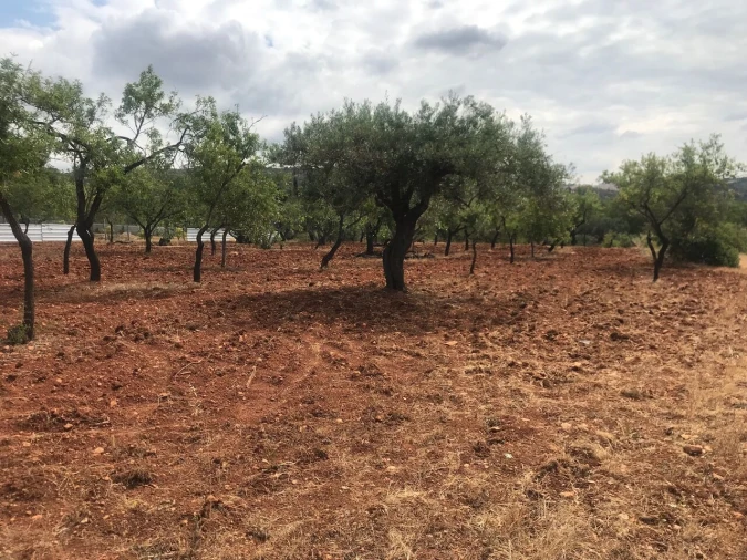 Terreno para Venda em Boliqueime Foto 11