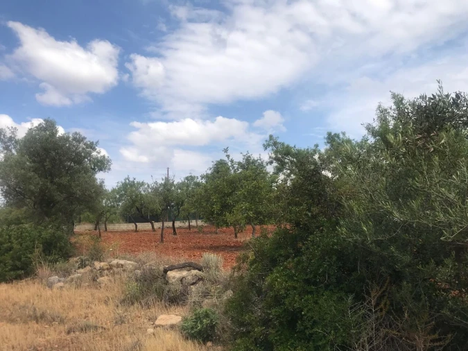 Terreno para Venda em Boliqueime Foto 15