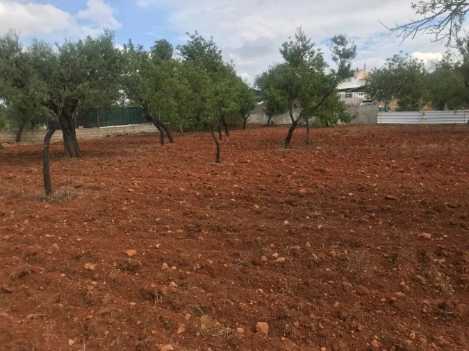 Terreno para Venda em Boliqueime Foto 18