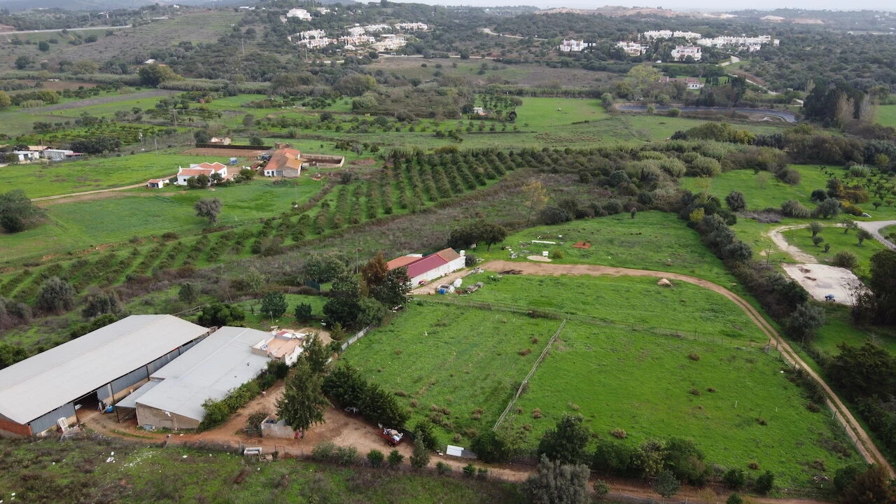 Terreno para Venda em Odiaxere Foto 13