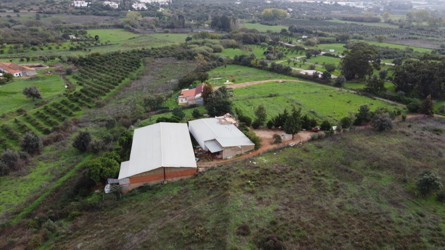 Terreno para Venda em Odiaxere Foto 3