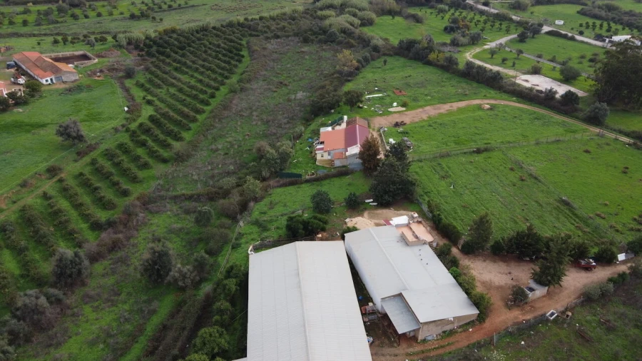 Terreno para Venda em Odiaxere Foto 4