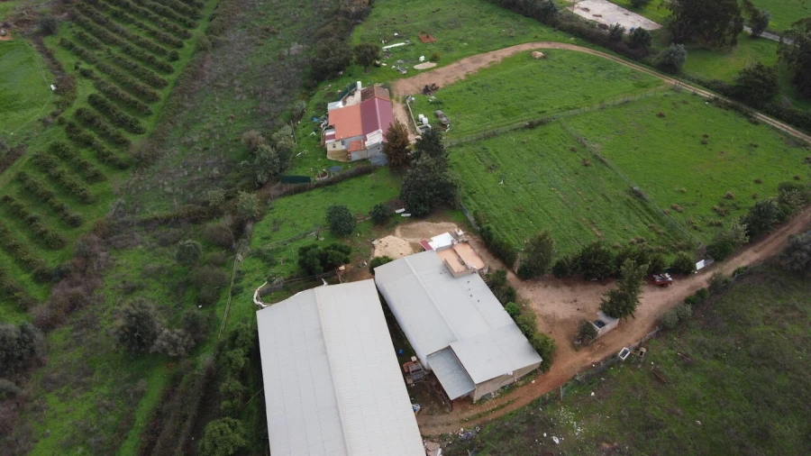 Terreno para Venda em Odiaxere Foto 5