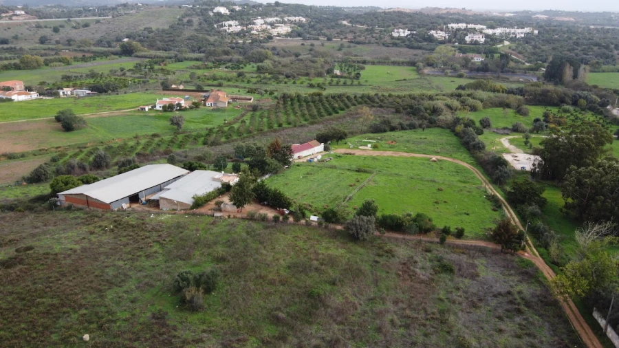 Terreno para Venda em Odiaxere Foto 12