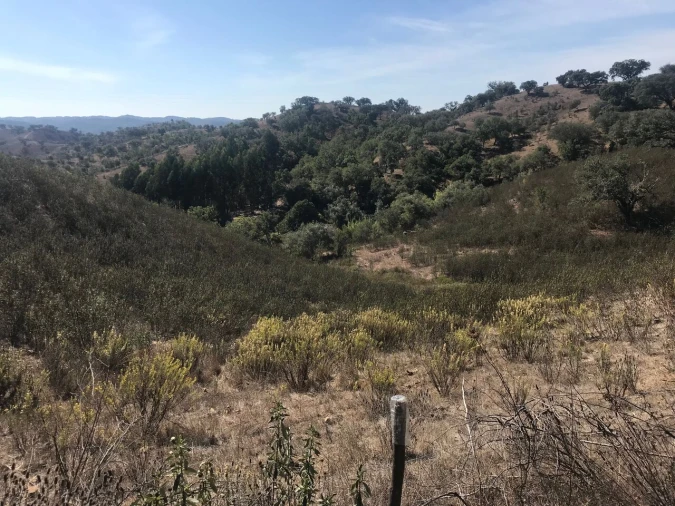 Moradia T5 para Venda em Santana da Serra Foto 28