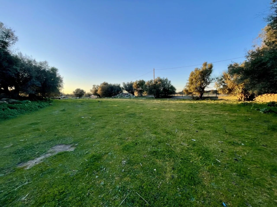 Quinta T18 para Venda em Redondo Foto 3