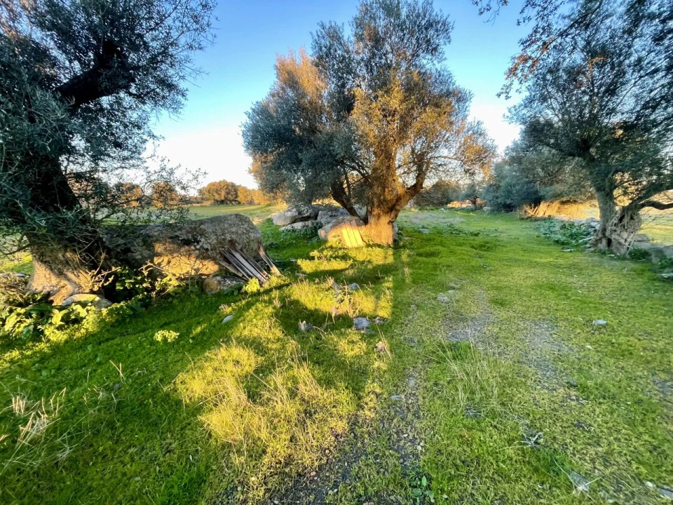 Quinta T18 para Venda em Redondo Foto 8