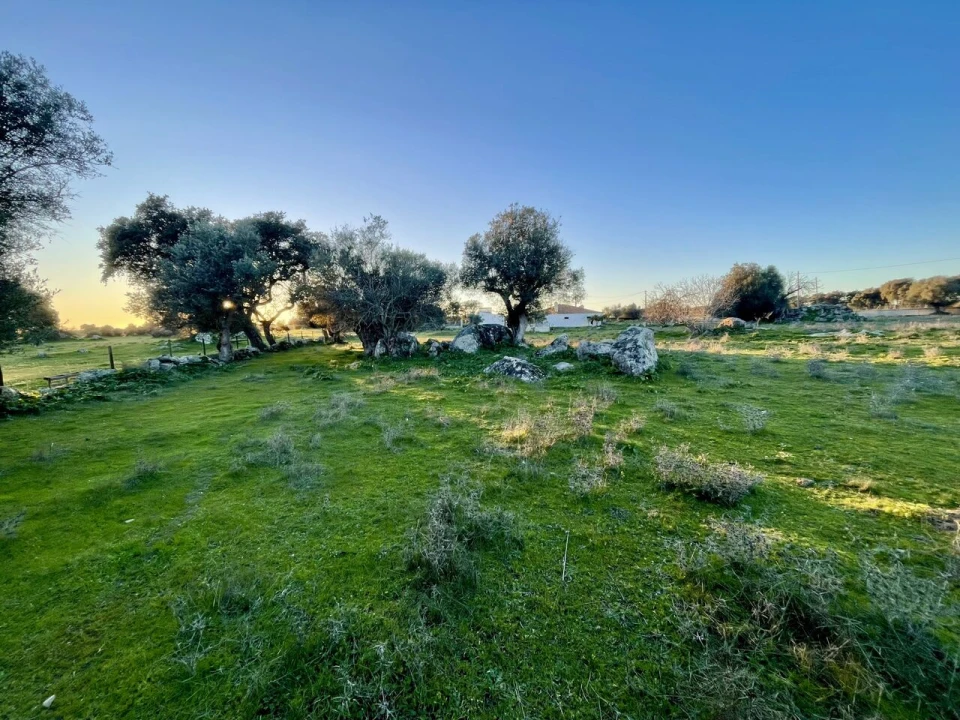 Quinta T18 para Venda em Redondo Foto 15