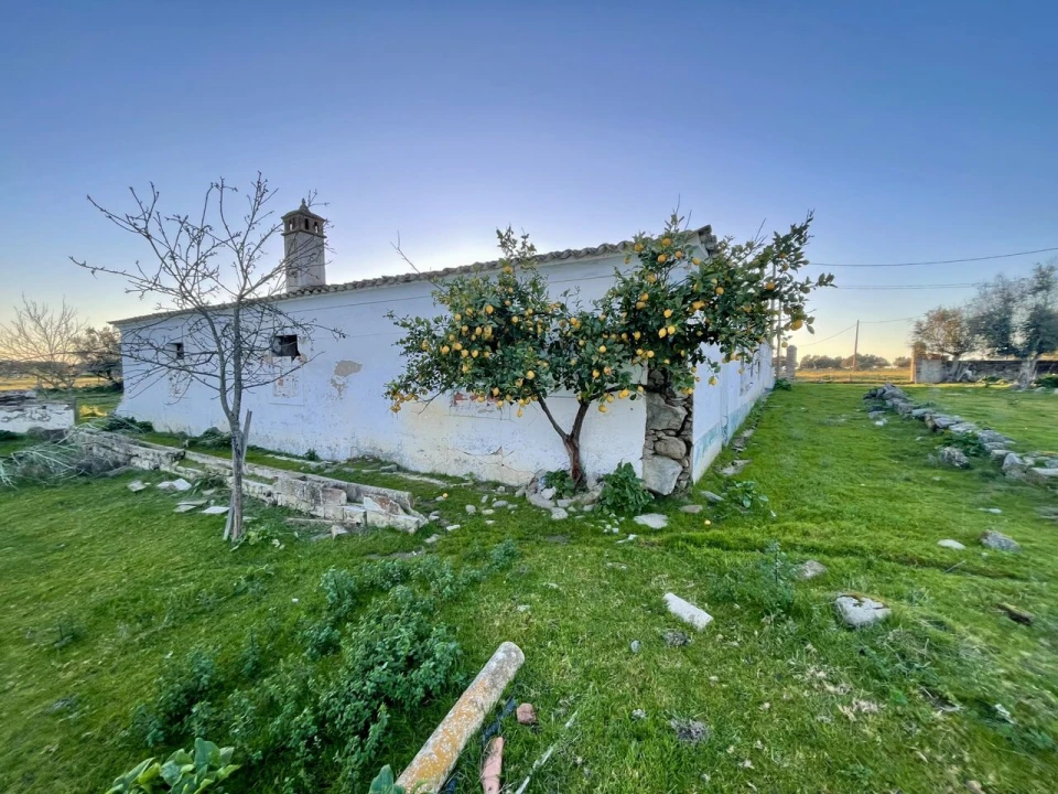 Quinta T18 para Venda em Redondo Foto 17