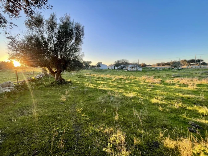 Quinta T18 para Venda em Redondo Foto 23