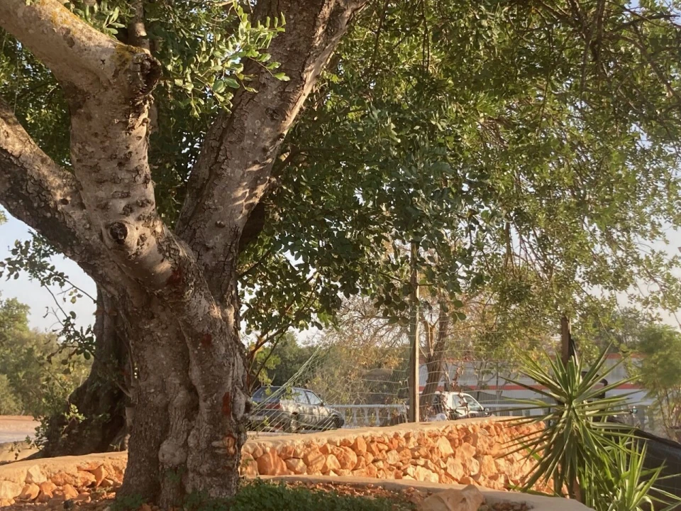 Moradia T5 para Venda em Ferreiras Foto 18