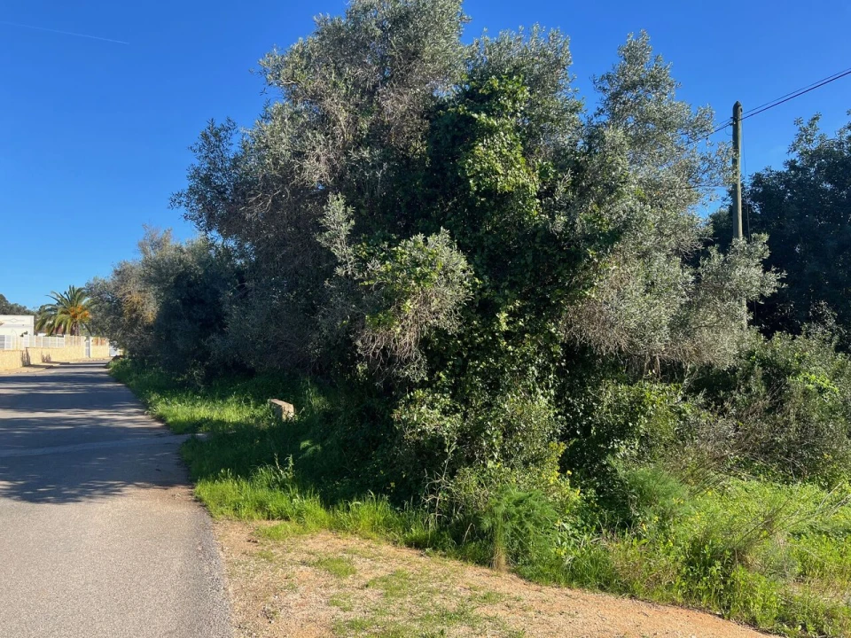 Terreno para Venda em Albufeira e Olhos de Água Foto 2