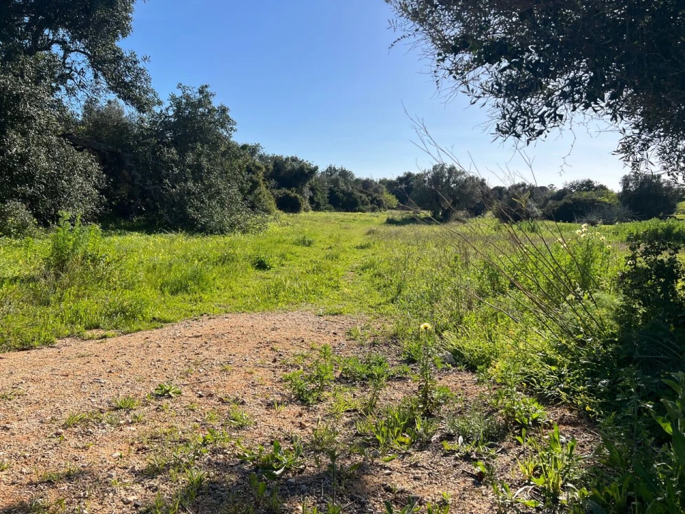 Terreno para Venda em Albufeira e Olhos de Água Foto 4