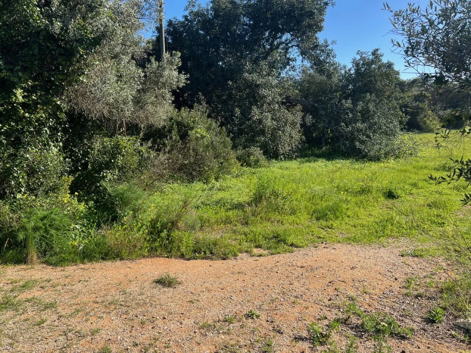Terreno para Venda em Albufeira e Olhos de Água Foto 5