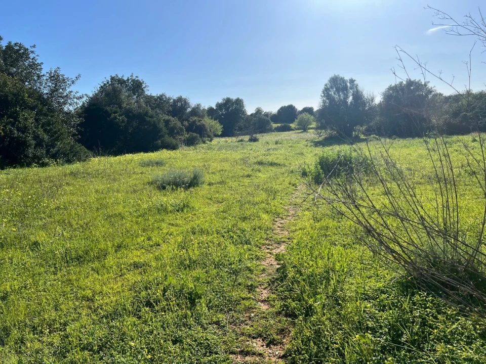 Terreno para Venda em Albufeira e Olhos de Água Foto 6