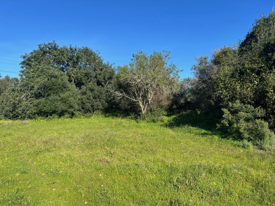 Terreno para Venda em Albufeira e Olhos de Água Foto 9