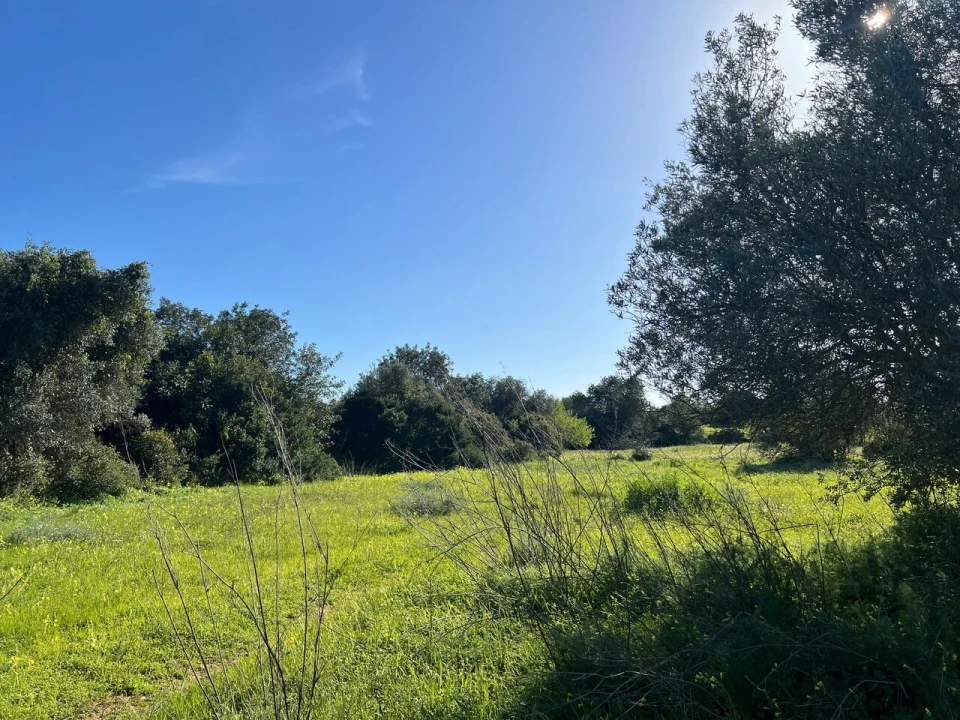 Terreno para Venda em Albufeira e Olhos de Água Foto 10