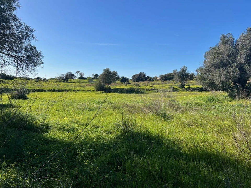 Terreno para Venda em Albufeira e Olhos de Água Foto 12