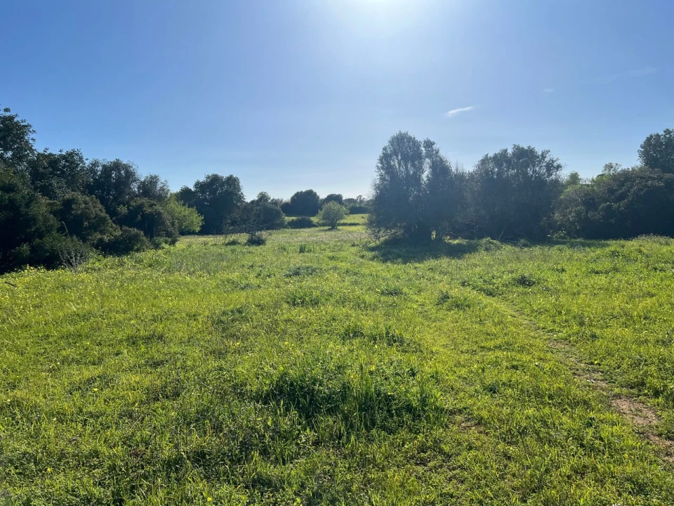 Terreno para Venda em Albufeira e Olhos de Água Foto 16