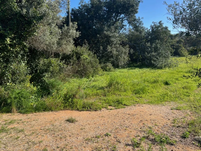 Terreno para Venda em Albufeira e Olhos de Água Foto 5