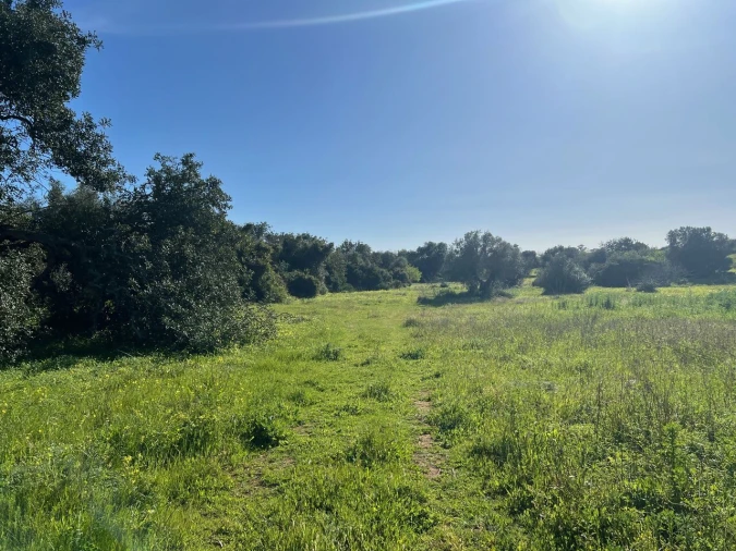 Terreno para Venda em Albufeira e Olhos de Água Foto 7