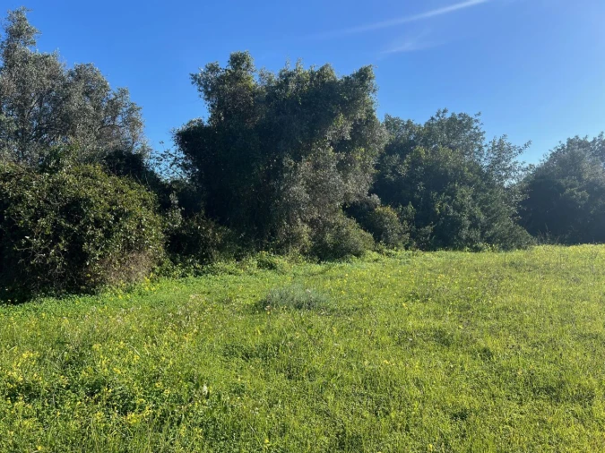 Terreno para Venda em Albufeira e Olhos de Água Foto 11