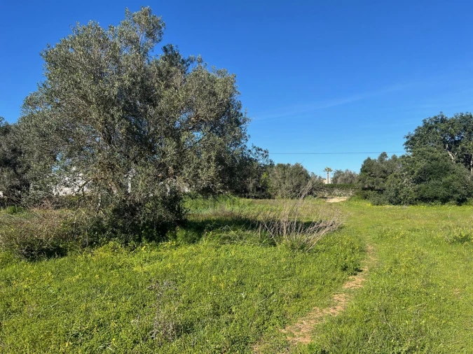 Terreno para Venda em Albufeira e Olhos de Água Foto 14