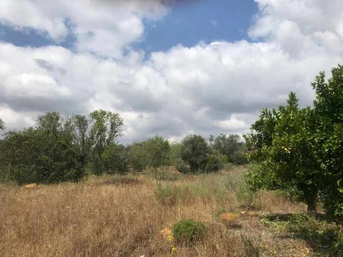 Terreno para Venda em São Bartolomeu de Messines Foto 2