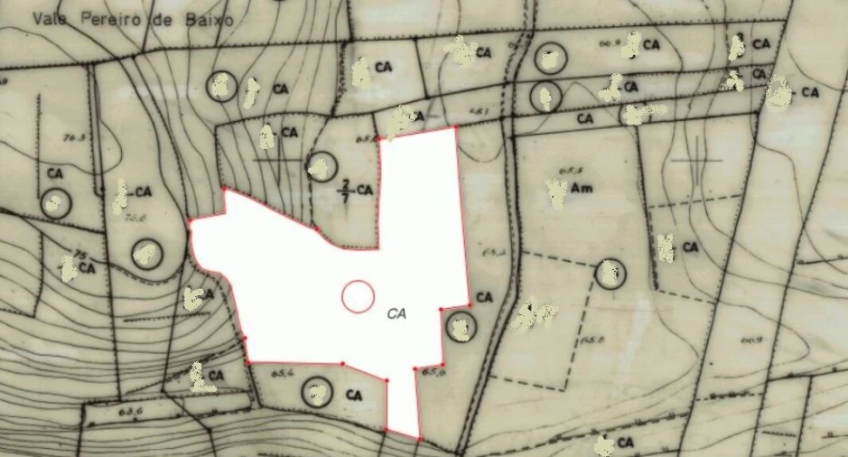 Terreno para Venda em São Bartolomeu de Messines Foto 3