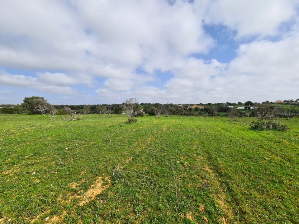 Terreno para Venda em Ferreiras Foto 3