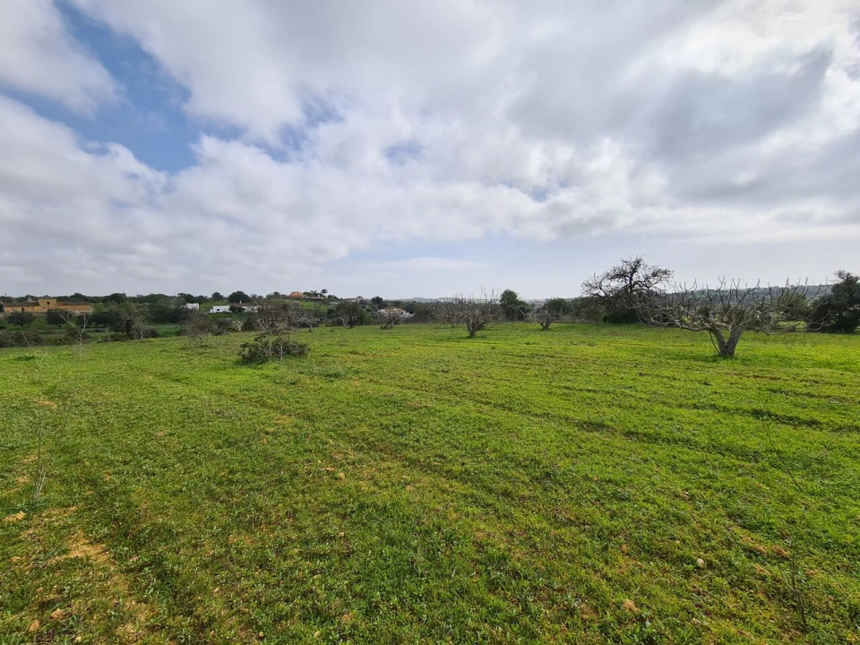 Terreno para Venda em Ferreiras Foto 4