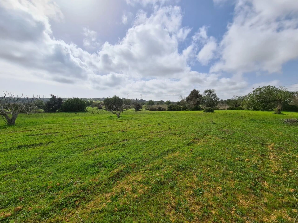 Terreno para Venda em Ferreiras Foto 5