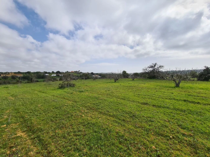 Terreno para Venda em Ferreiras Foto 4