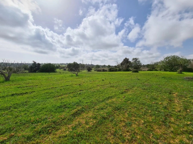 Terreno para Venda em Ferreiras Foto 5