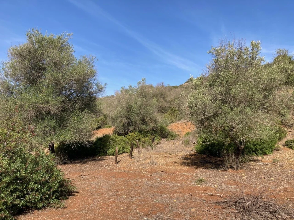 Terreno para Venda em Paderne Foto 2