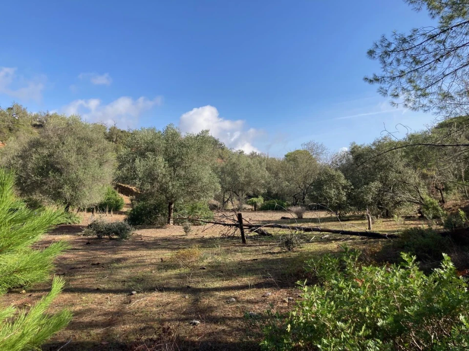 Terreno para Venda em Paderne Foto 3