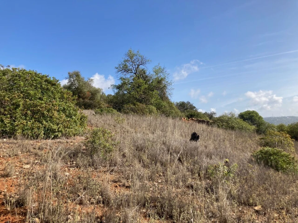 Terreno para Venda em Paderne Foto 5