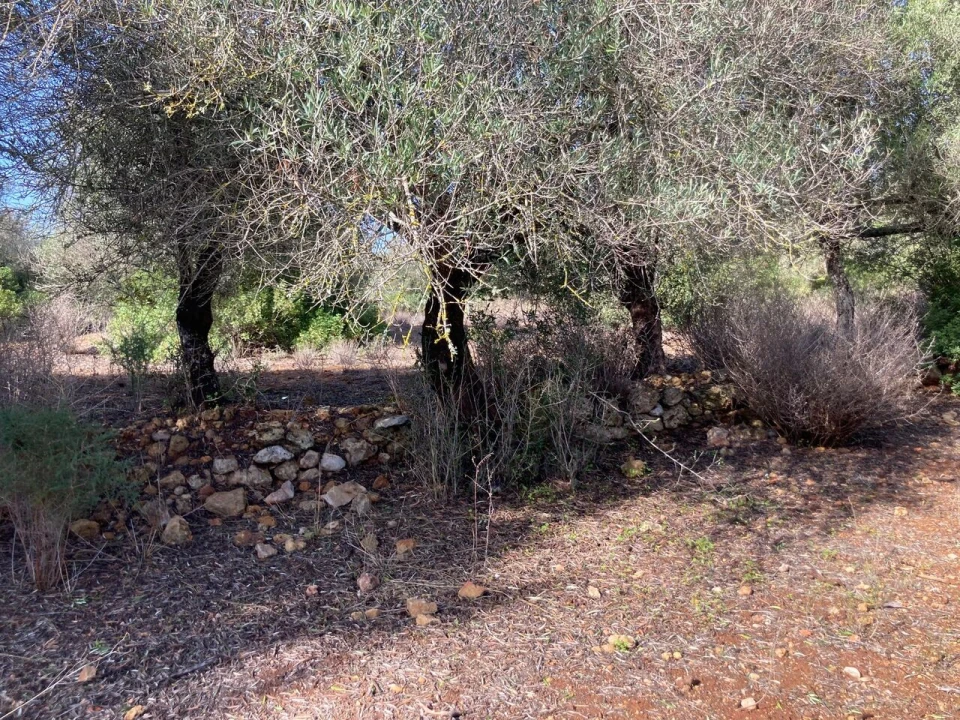 Terreno para Venda em Paderne Foto 8