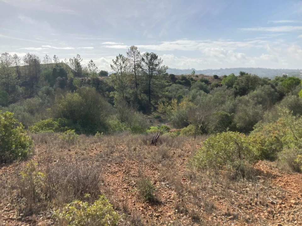 Terreno para Venda em Paderne Foto 9