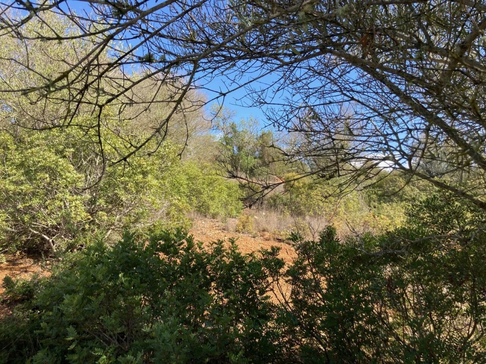 Terreno para Venda em Paderne Foto 13