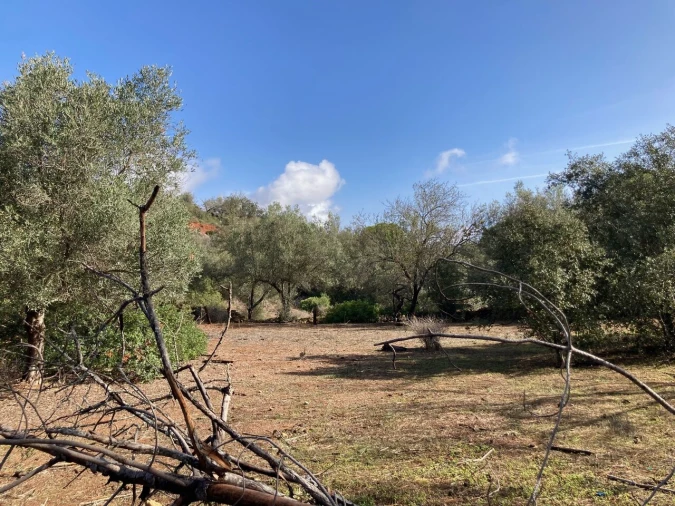 Terreno para Venda em Paderne Foto 4