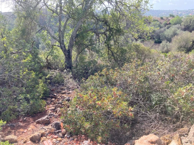 Terreno para Venda em Paderne Foto 7