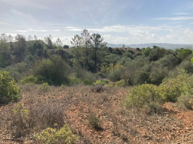 Terreno para Venda em Paderne Foto 9
