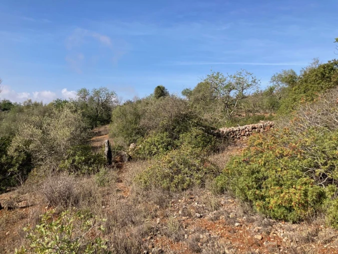 Terreno para Venda em Paderne Foto 10