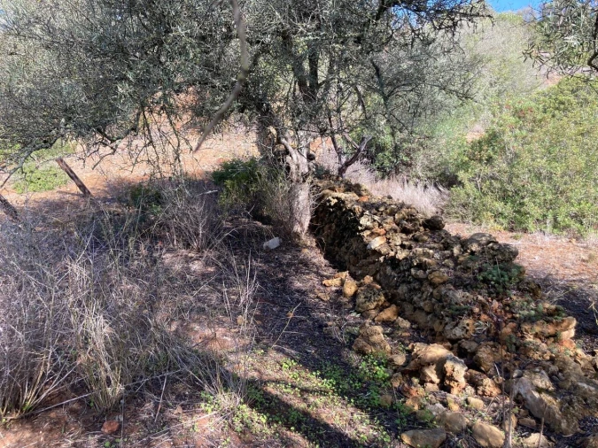 Terreno para Venda em Paderne Foto 14